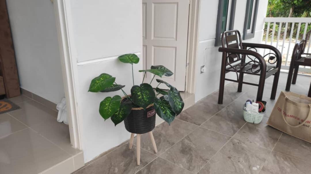 D'Lamar Homestay Pendang Exterior foto